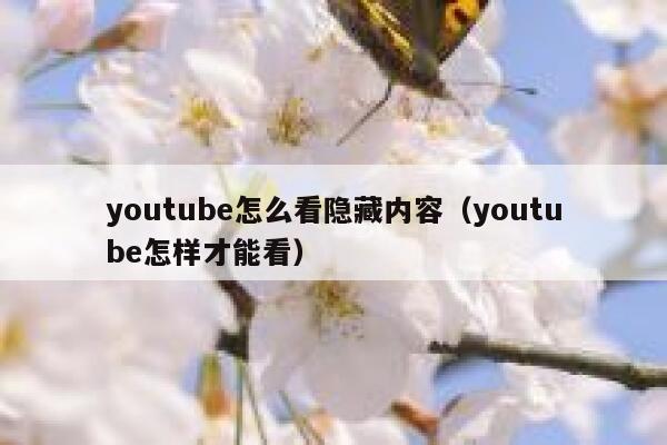 youtube怎么看隐藏内容（youtube怎样才能看） 第1张