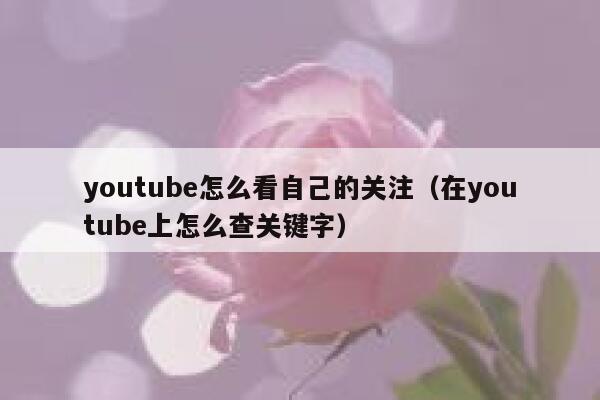 youtube怎么看自己的关注（在youtube上怎么查关键字） 第1张