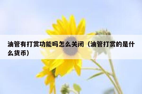 油管有打赏功能吗怎么关闭（油管打赏的是什么货币） 第1张
