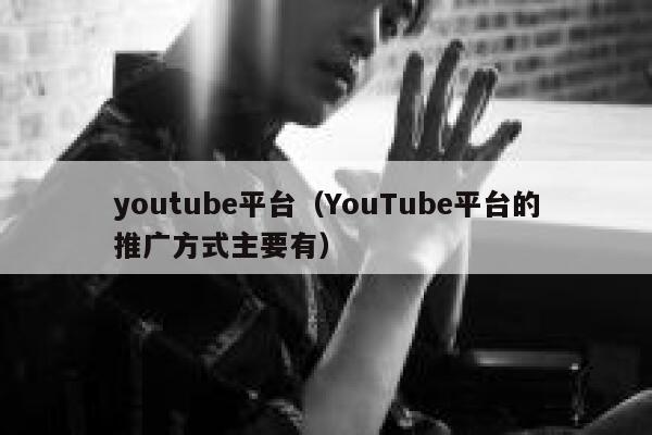 youtube平台（YouTube平台的推广方式主要有） 第1张