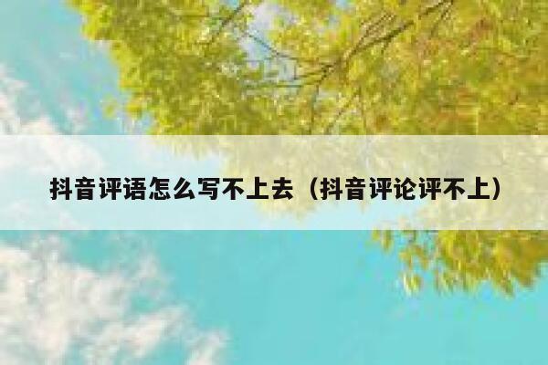 抖音评语怎么写不上去（抖音评论评不上） 第1张
