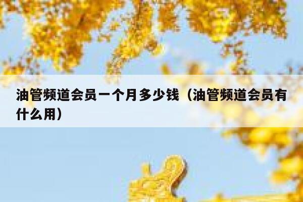 油管频道会员一个月多少钱（油管频道会员有什么用） 第1张