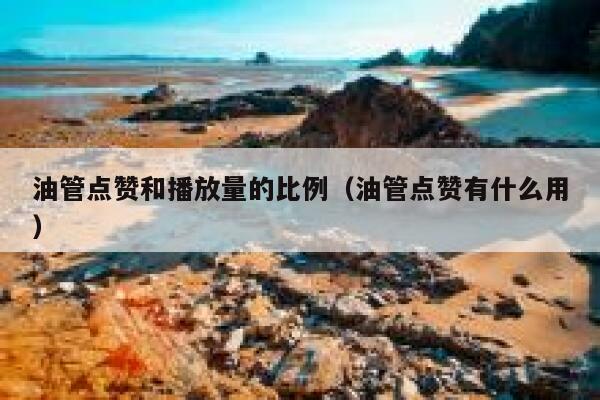 油管点赞和播放量的比例（油管点赞有什么用） 第1张