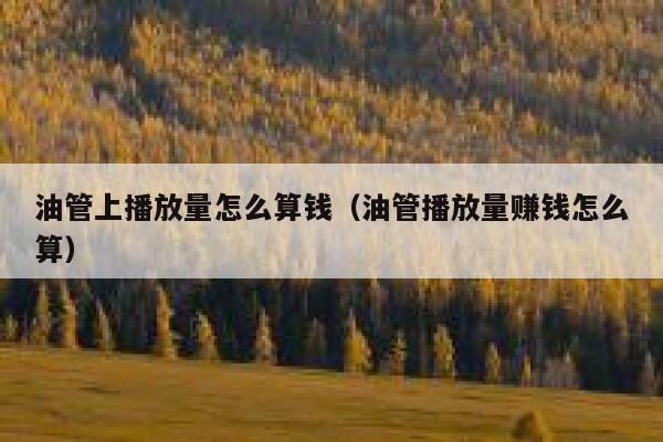 油管上播放量怎么算钱（油管播放量赚钱怎么算） 第1张