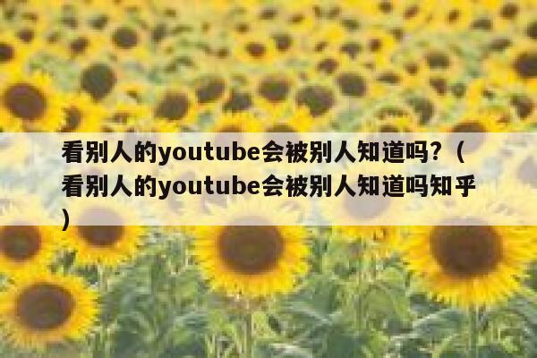 看别人的youtube会被别人知道吗?（看别人的youtube会被别人知道吗知乎） 第1张