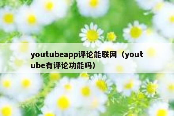 youtubeapp评论能联网（youtube有评论功能吗） 第1张