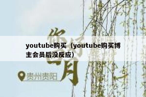youtube购买（youtube购买博主会员后没反应） 第1张
