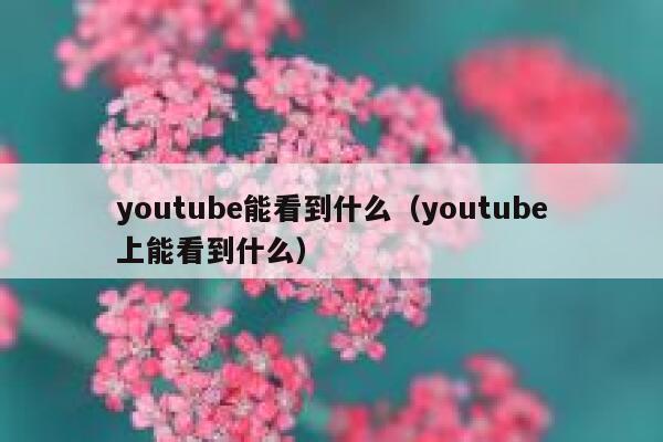 youtube能看到什么（youtube上能看到什么） 第1张