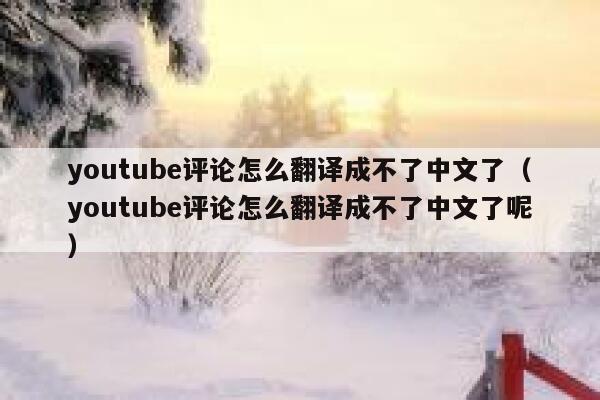 youtube评论怎么翻译成不了中文了（youtube评论怎么翻译成不了中文了呢） 第1张