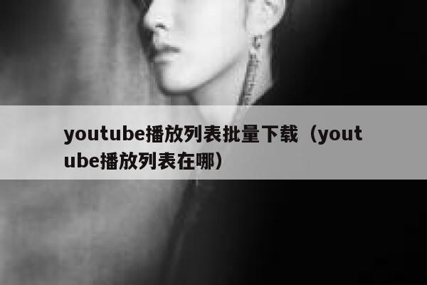 youtube播放列表批量下载（youtube播放列表在哪） 第1张