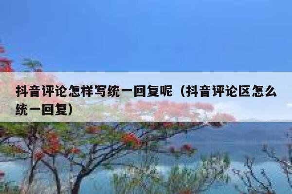 抖音评论怎样写统一回复呢（抖音评论区怎么统一回复） 第1张