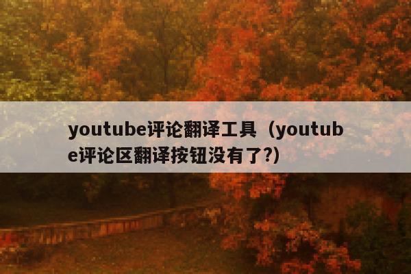 youtube评论翻译工具（youtube评论区翻译按钮没有了?） 第1张