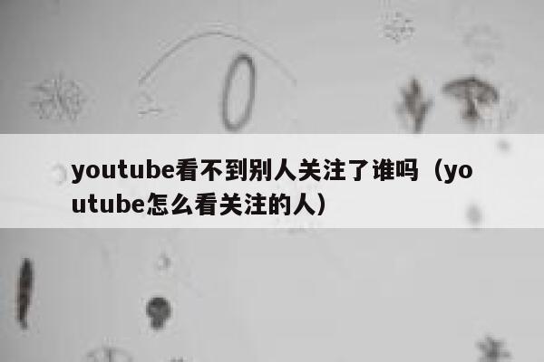 youtube看不到别人关注了谁吗（youtube怎么看关注的人） 第1张