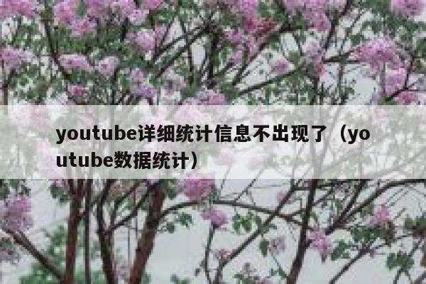 youtube详细统计信息不出现了（youtube数据统计） 第1张