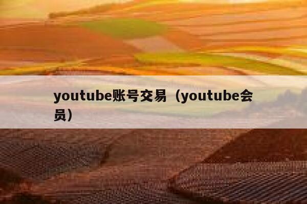 youtube账号交易（youtube会员） 第1张