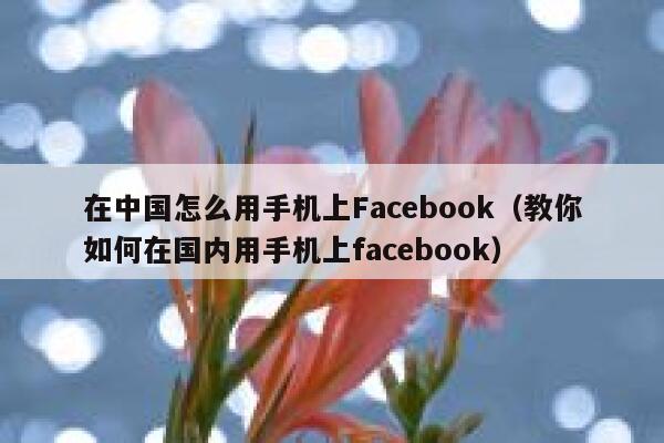 在中国怎么用手机上Facebook（教你如何在国内用手机上facebook） 第1张