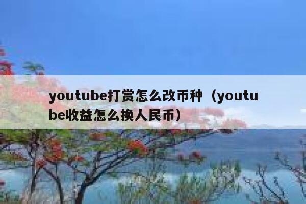 youtube打赏怎么改币种（youtube收益怎么换人民币） 第1张