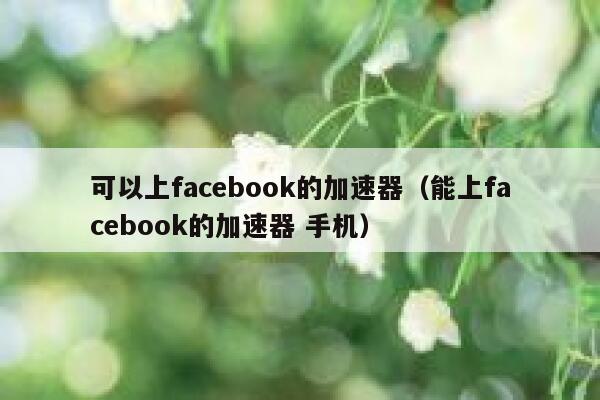 可以上facebook的加速器（能上facebook的加速器 手机） 第1张