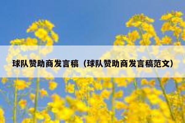 球队赞助商发言稿（球队赞助商发言稿范文） 第1张