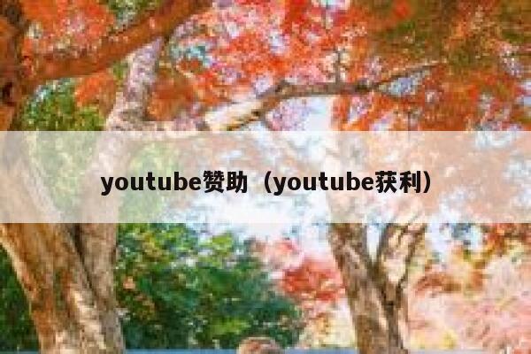 youtube赞助（youtube获利） 第1张