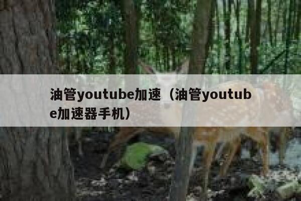 油管youtube加速（油管youtube加速器手机） 第1张