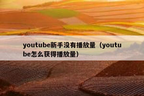 youtube新手没有播放量（youtube怎么获得播放量） 第1张