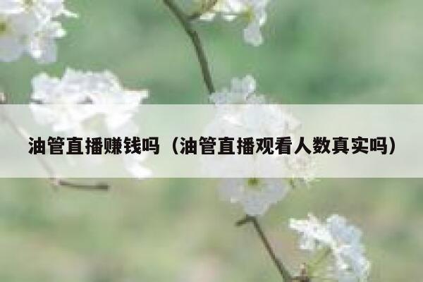 油管直播赚钱吗（油管直播观看人数真实吗） 第1张