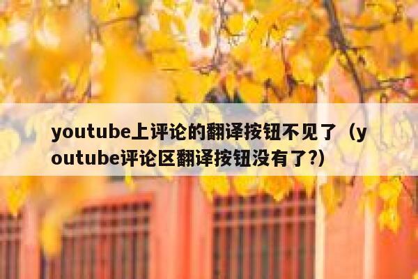 youtube上评论的翻译按钮不见了（youtube评论区翻译按钮没有了?） 第1张
