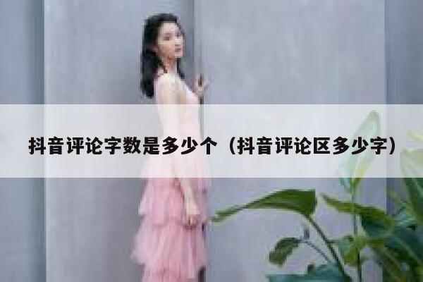 抖音评论字数是多少个（抖音评论区多少字） 第1张