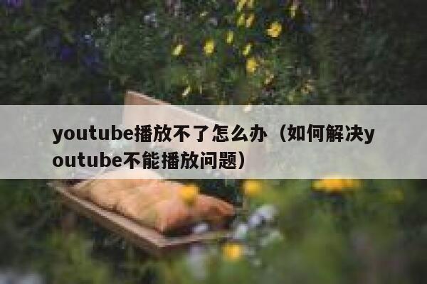youtube播放不了怎么办（如何解决youtube不能播放问题） 第1张
