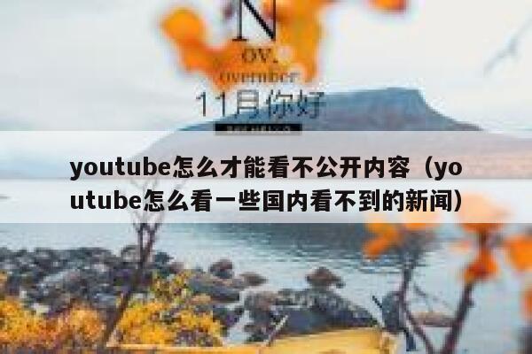 youtube怎么才能看不公开内容（youtube怎么看一些国内看不到的新闻） 第1张