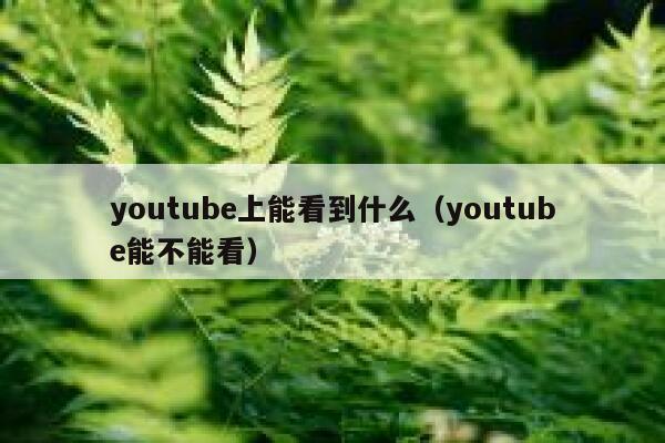 youtube上能看到什么（youtube能不能看） 第1张