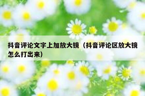抖音评论文字上加放大镜（抖音评论区放大镜怎么打出来） 第1张
