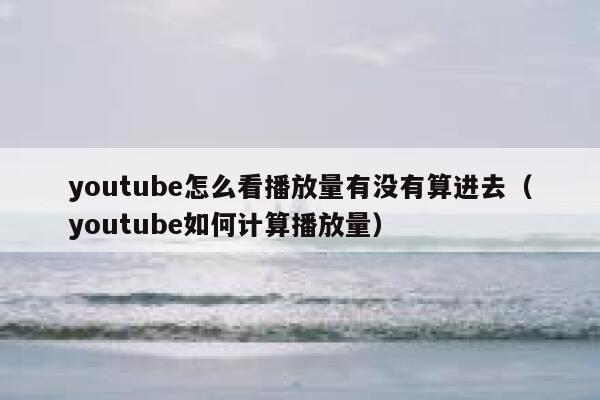 youtube怎么看播放量有没有算进去（youtube如何计算播放量） 第1张