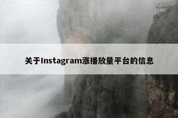 关于Instagram涨播放量平台的信息 第1张