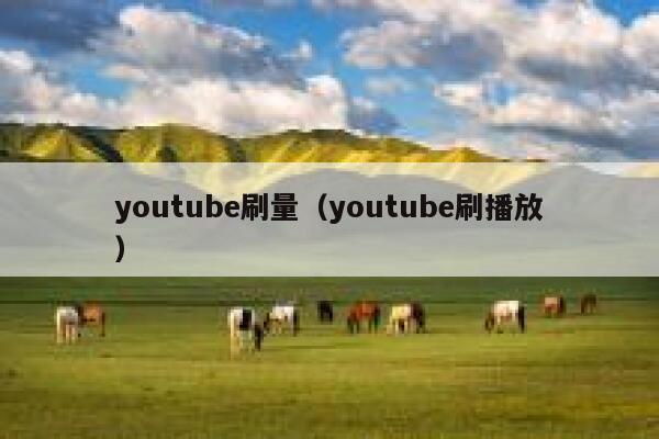 youtube刷量（youtube刷播放） 第1张
