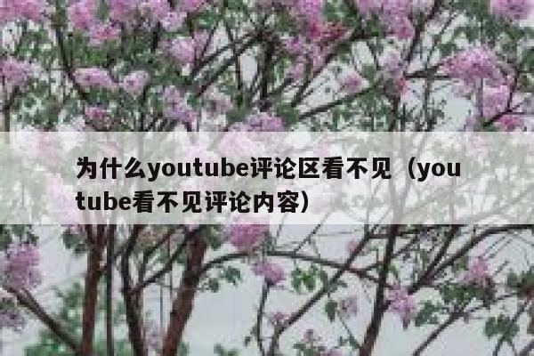 为什么youtube评论区看不见（youtube看不见评论内容） 第1张