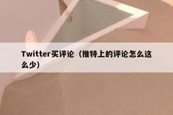 Twitter买评论（推特上的评论怎么这么少） 第1张