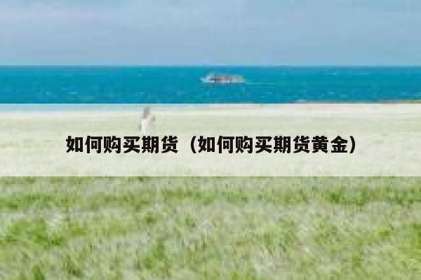 如何购买期货（如何购买期货黄金） 第1张