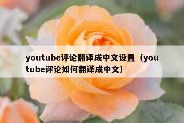 youtube评论翻译成中文设置（youtube评论如何翻译成中文） 第1张