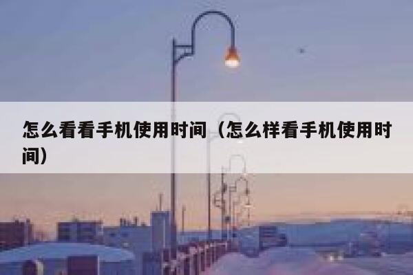 怎么看看手机使用时间（怎么样看手机使用时间） 第1张