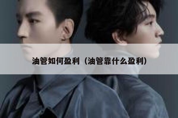 油管如何盈利（油管靠什么盈利） 第1张