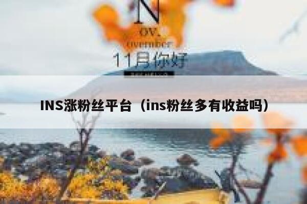 INS涨粉丝平台（ins粉丝多有收益吗） 第1张