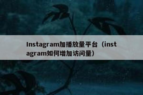 Instagram加播放量平台（instagram如何增加访问量） 第1张