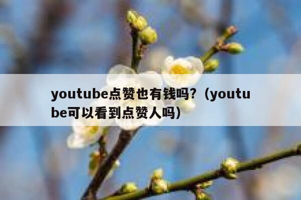 youtube点赞也有钱吗?（youtube可以看到点赞人吗） 第1张