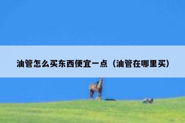 油管怎么买东西便宜一点（油管在哪里买） 第1张