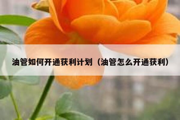 油管如何开通获利计划（油管怎么开通获利） 第1张