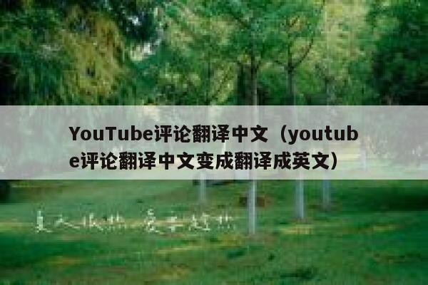 YouTube评论翻译中文（youtube评论翻译中文变成翻译成英文） 第1张