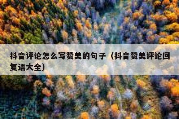 抖音评论怎么写赞美的句子（抖音赞美评论回复语大全） 第1张