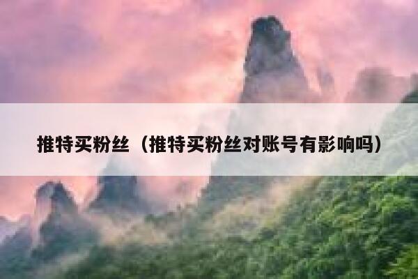 推特买粉丝（推特买粉丝对账号有影响吗） 第1张